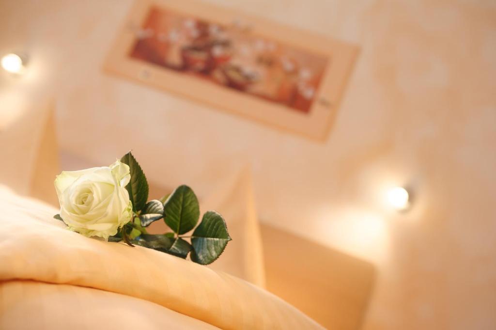 Hotel Mediterraneo Neustadt an der Weinstraße Camera foto